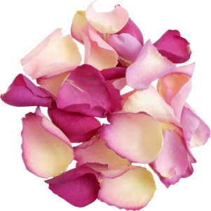In the Pink Mixed Rose Petals
